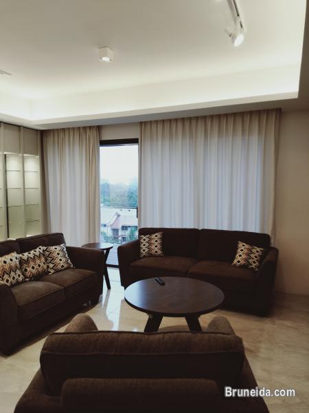 Kiulap - THE HANEKLAUS $2K - image 6