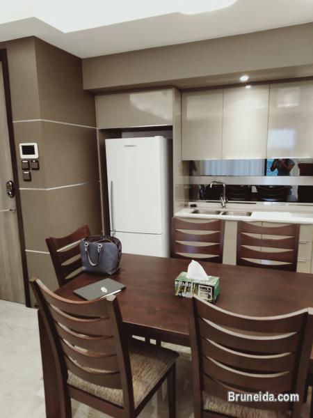 Kiulap - THE HANEKLAUS $2K - image 8