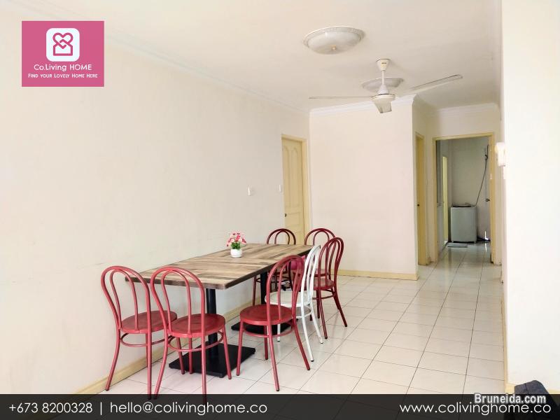Beribi - CIKO HOMES FOR RENT $900 (Unit 6 G Floor) - image 4
