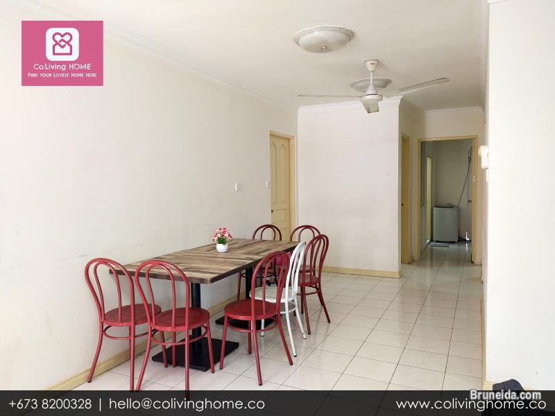 Beribi - CIKO HOMES FOR RENT $900 (Unit 6 G Floor) - image 5