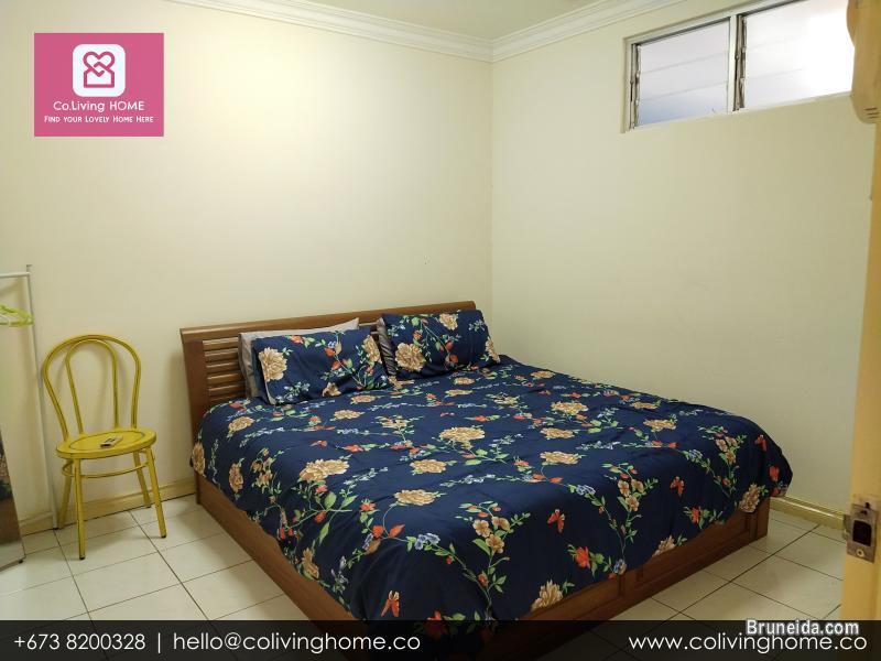 Beribi - CIKO HOMES FOR RENT $900 (Unit 6 G Floor) - image 6