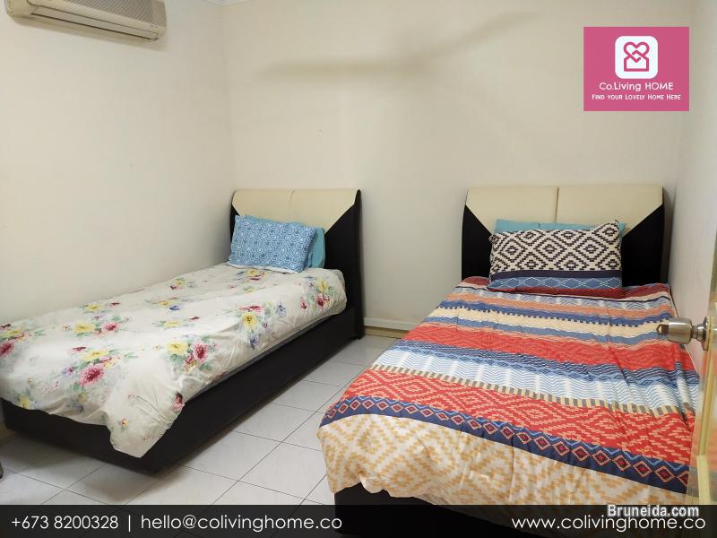 Beribi - CIKO HOMES FOR RENT $900 (Unit 6 G Floor) - image 7