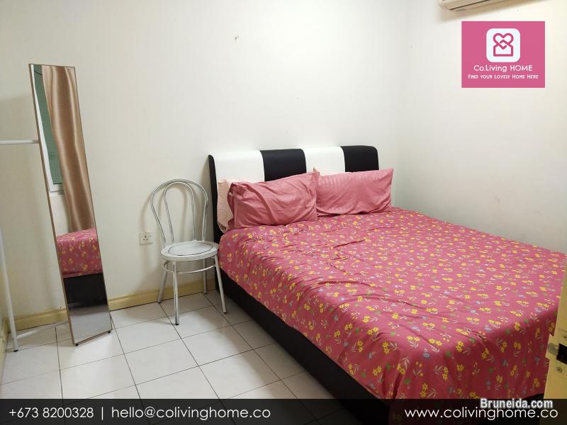 Beribi - CIKO HOMES FOR RENT $900 (Unit 6 G Floor) - image 8