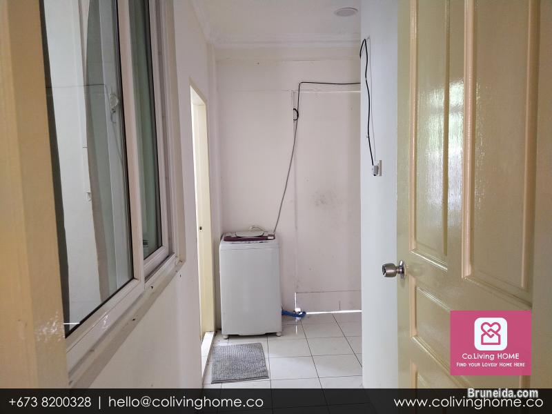 Beribi - CIKO HOMES FOR RENT $900 (Unit 6 G Floor) - image 9
