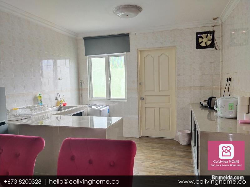 Beribi - CIKO HOMES FOR RENT $900 (Unit 4 2nd Floor) - image 10