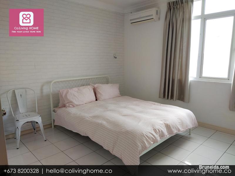 Beribi - CIKO HOMES FOR RENT $900 (Unit 4 2nd Floor) - image 4