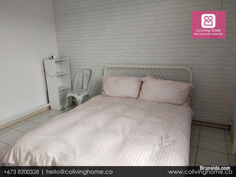 Beribi - CIKO HOMES FOR RENT $900 (Unit 4 2nd Floor) - image 5