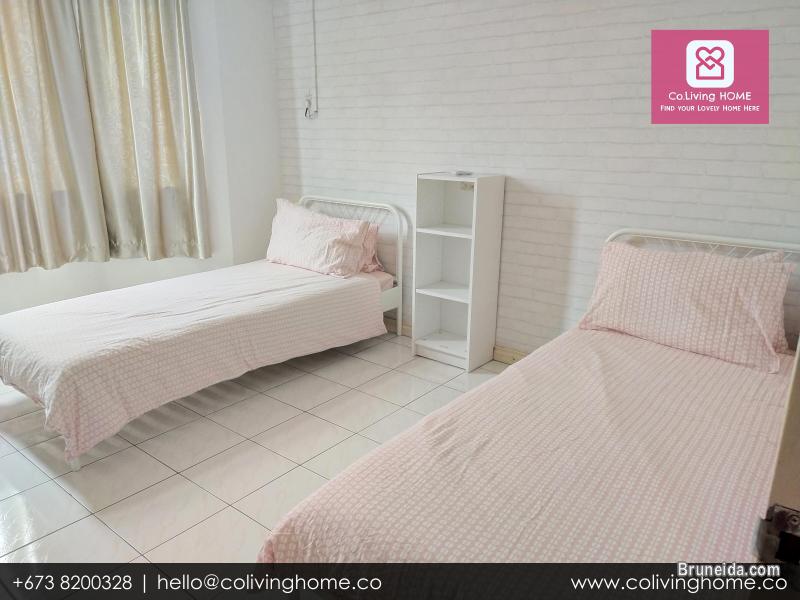 Beribi - CIKO HOMES FOR RENT $900 (Unit 4 2nd Floor) - image 6