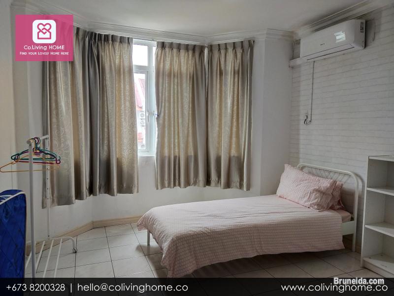 Beribi - CIKO HOMES FOR RENT $900 (Unit 4 2nd Floor) - image 7