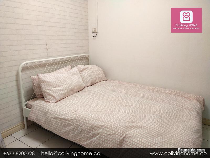 Beribi - CIKO HOMES FOR RENT $900 (Unit 4 2nd Floor) - image 8