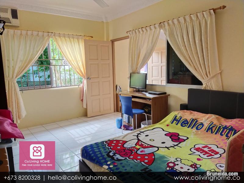 Subok - BURCU HOME FOR SALE $180K - image 10