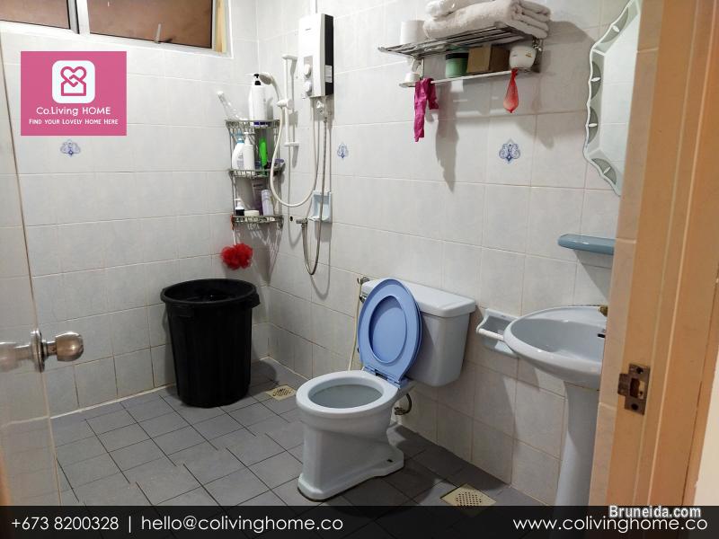 Subok - BURCU HOME FOR SALE $180K - image 11