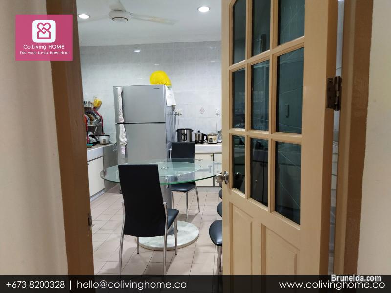 Subok - BURCU HOME FOR SALE $180K - image 12