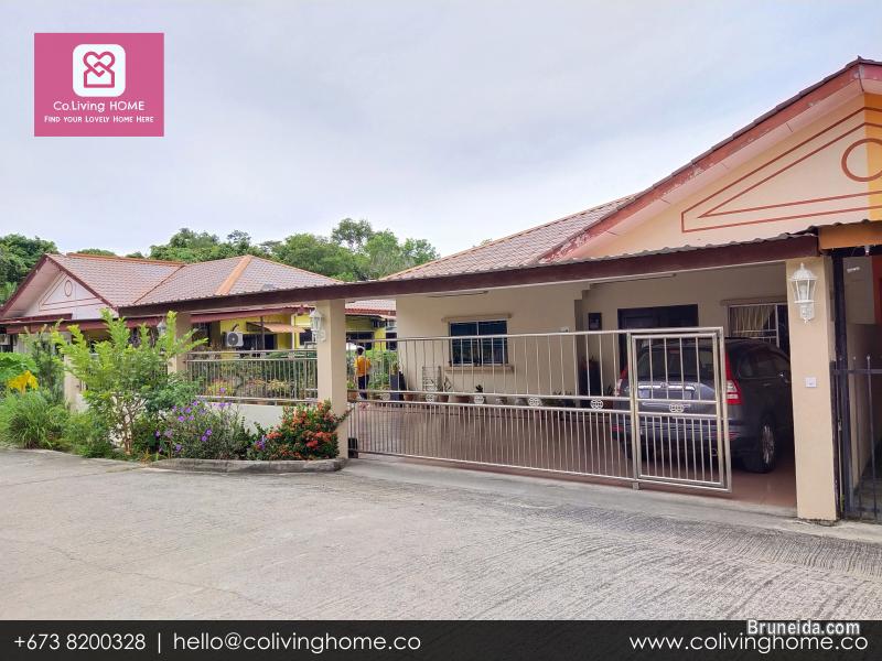 Subok - BURCU HOME FOR SALE $180K - image 2