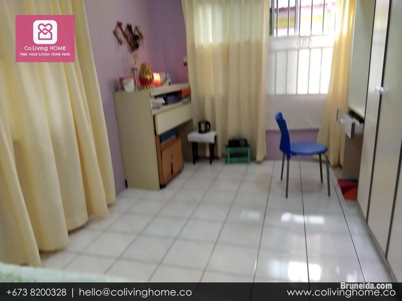 Subok - BURCU HOME FOR SALE $180K - image 6