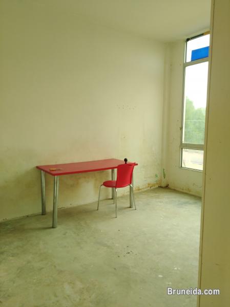 Room 1 Co. Living Saga - image 2