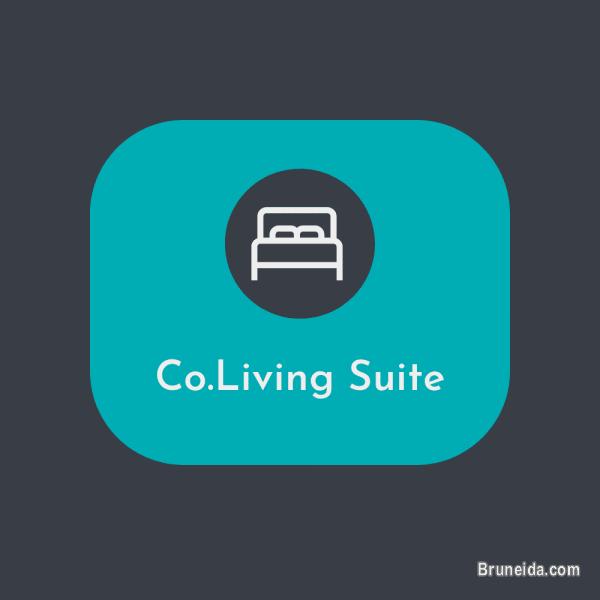 Co. living Suite - Suite 101 $38 Daily - image 10