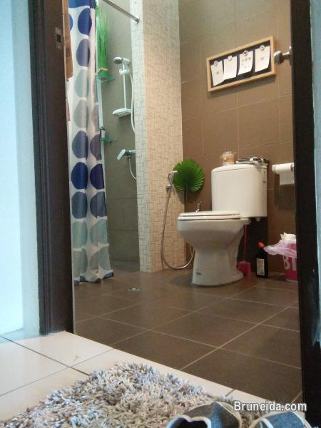 Co. living Suite - Suite 101 $38 Daily - image 5