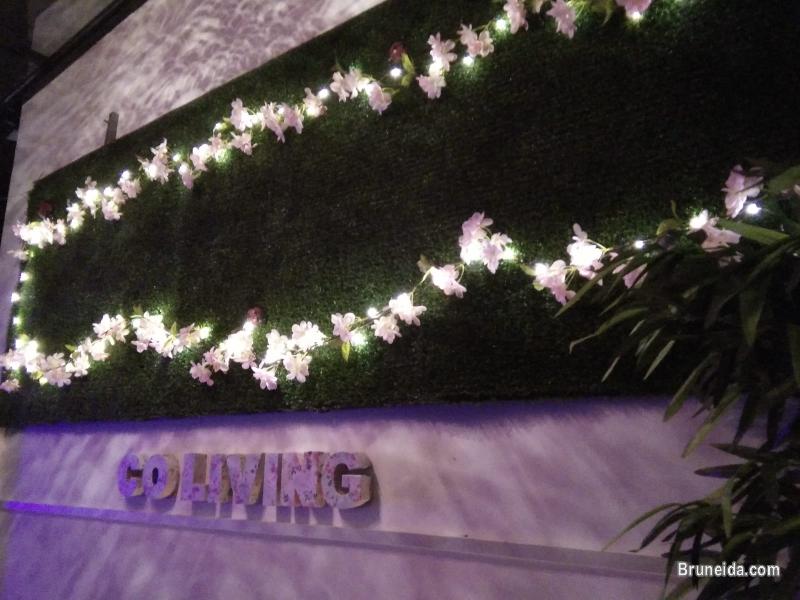 Co. living Suite - Suite 101 $38 Daily - image 6