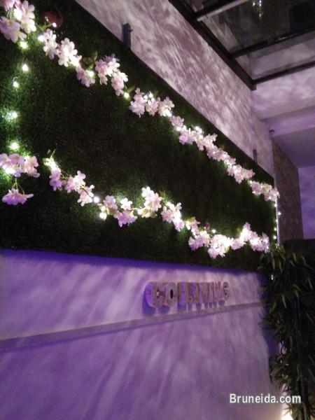 Co. living Suite - Suite 101 $38 Daily - image 8