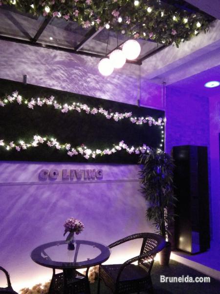 Co. living Suite - Suite 101 $38 Daily - image 9