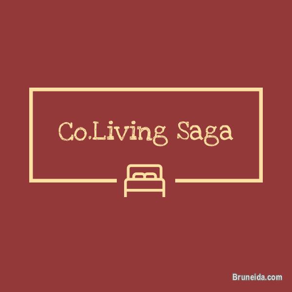 ROOM 3: FULLY FURNISHED $150 - image 9