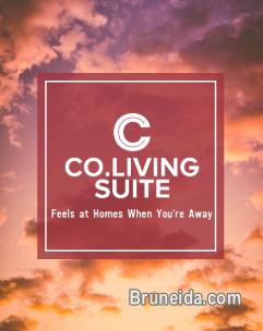 Suite 104: Queen Bed Fully Furnished - image 12