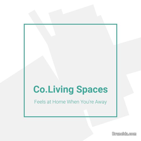 House for Rent - Serusop No. 21 Spg 33 - image 9