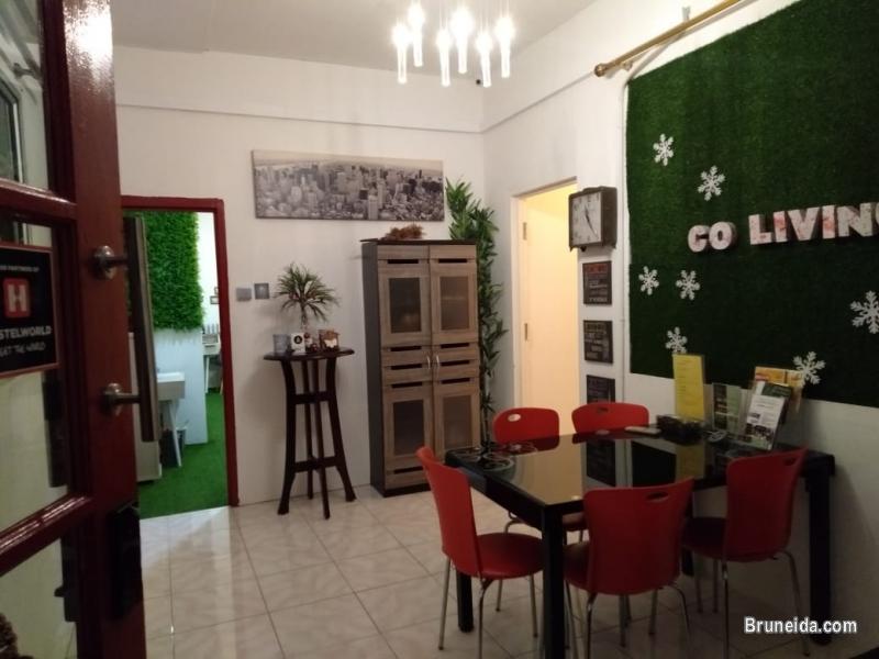 Co. Living Saga - ROOM 2 Queen Bedroom Sharing Bathroom - image 1