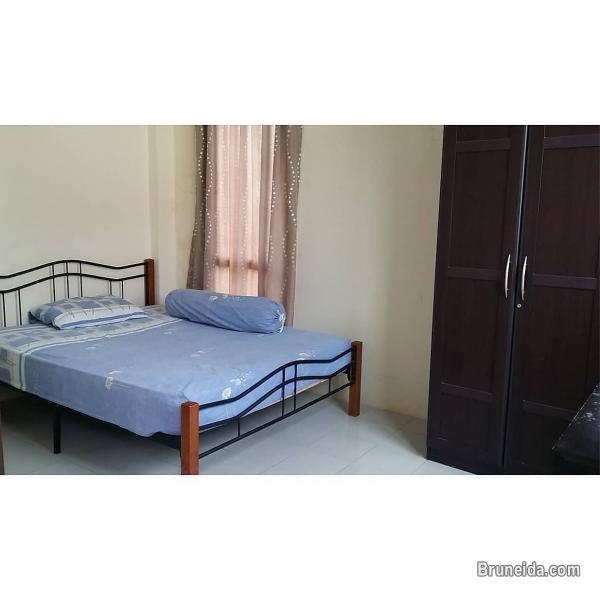 Mata-Mata Room - image 2