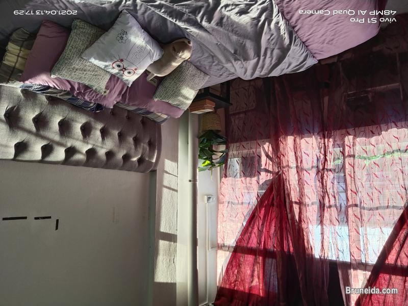 Master Room Queen Bed - $280 Co. Living Hostel - image 4