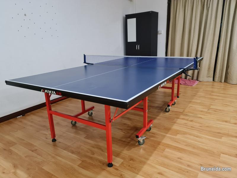Picture of Used Foldable Table Tennis Table