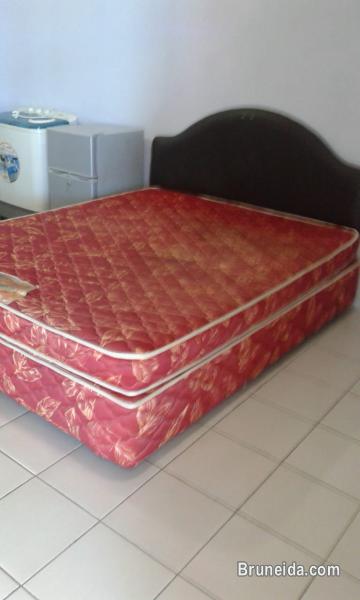 Room For Rent - image 2