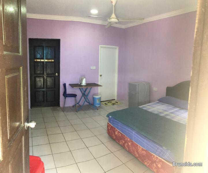 Room For Rent - image 4