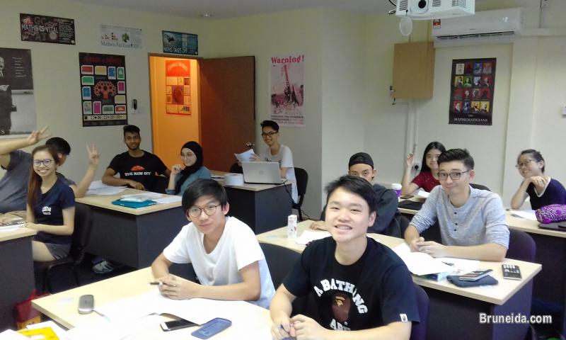 Maths Tuition: Years 7-13, both International and Local schools - image 2