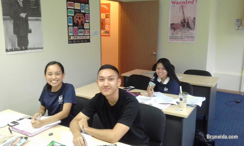 Maths Tuition: Years 7-13, both International and Local schools - image 3