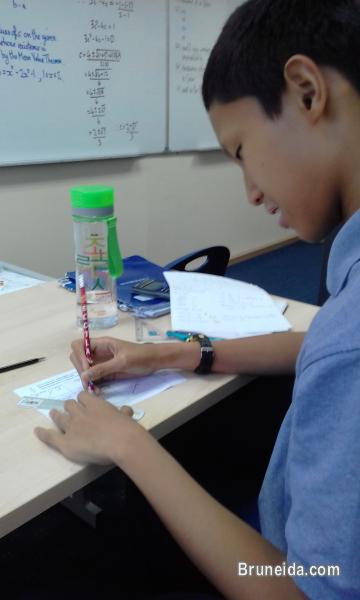 Maths Tuition: Years 7-13, both International and Local schools - image 4