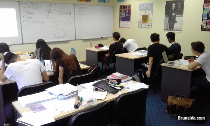 Maths Tuition: Years 7-13, both International and Local schools - image 5