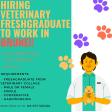Hiring vet graduate