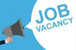 Vacancy for Sales Executive and Interior Designer