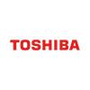 Site Engineer (Toshiba Transmission & Distribution Systems Asia S