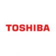 Site Engineer (Electrical) (Toshiba Transmission & Distribution S