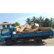 Pickup Rental. Potong Pokok. Buang Sampah