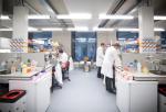 Government Biosciences Research Laboratory Set up Consultant