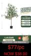 Artificial Eucalyptus Plant