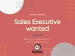 Sales Executive