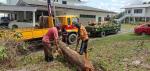 Lorry, Pickup & Potong Pokok
