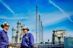 Petroleum Product Trade