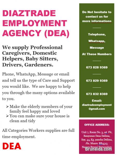 Diaztrade Employment Agency - image 1