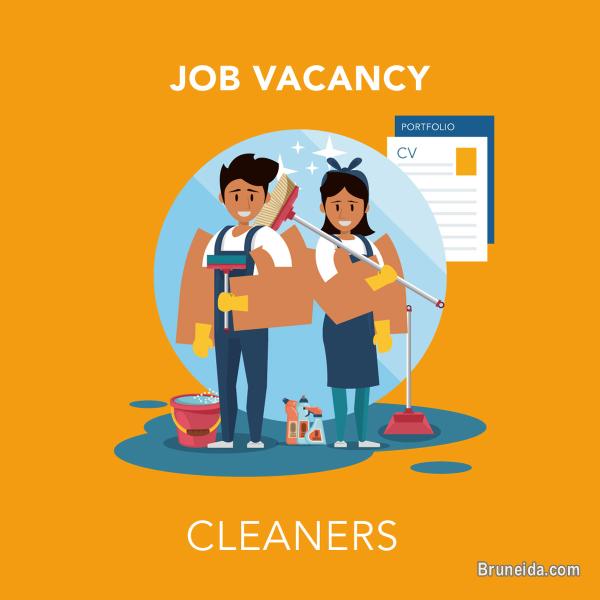 Job Vacancy for Cleaner - image 1